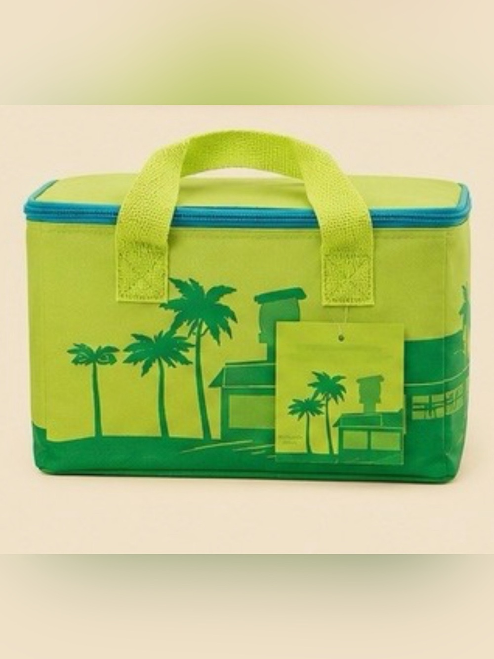 Trader Joes Mini Insulated Bag
